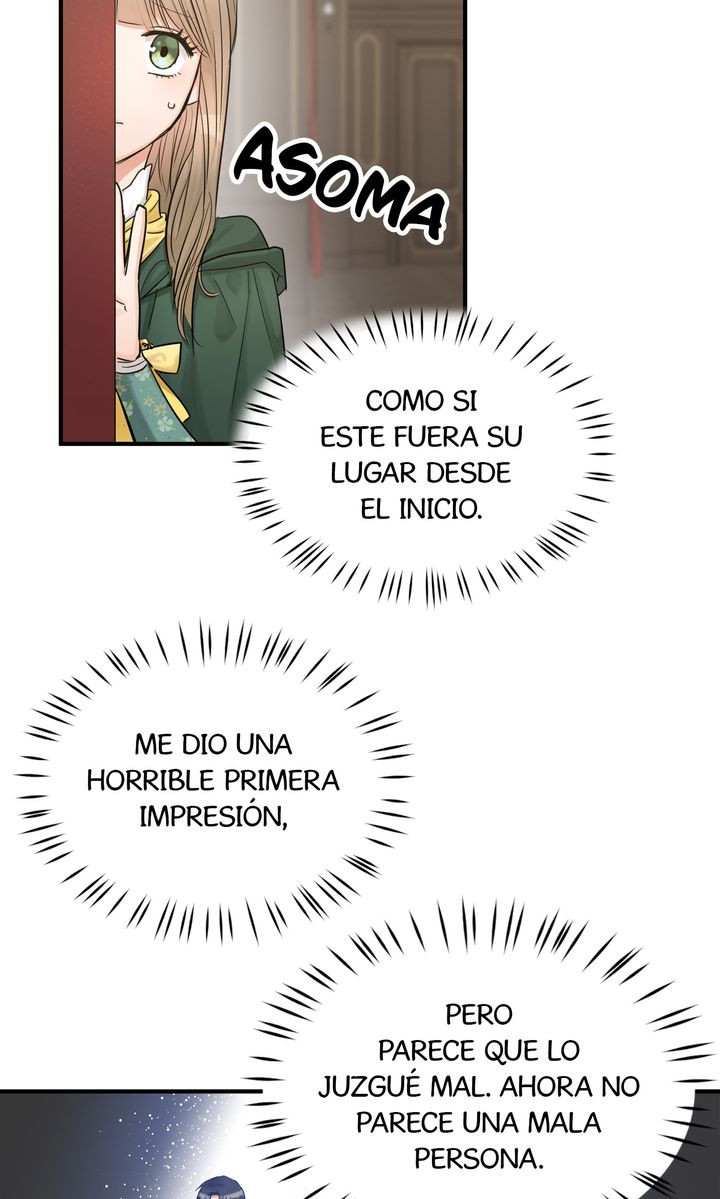 Página 41