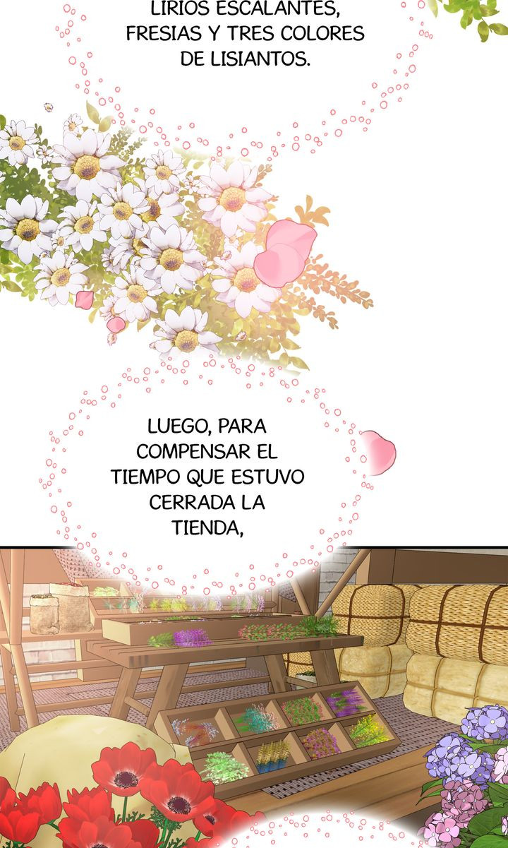 Página 53