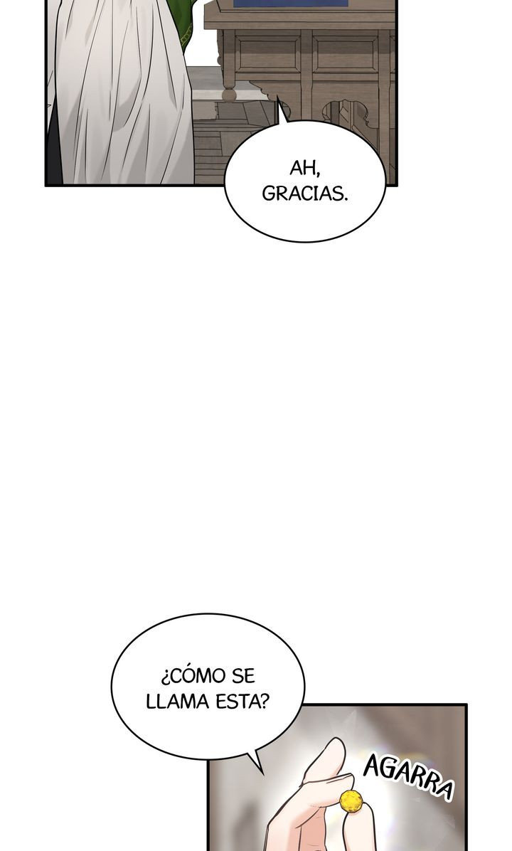 Página 42