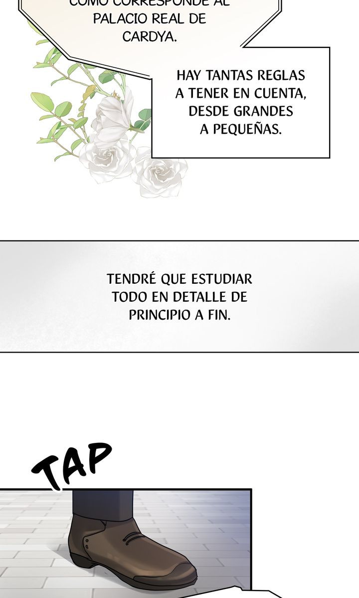 Página 55