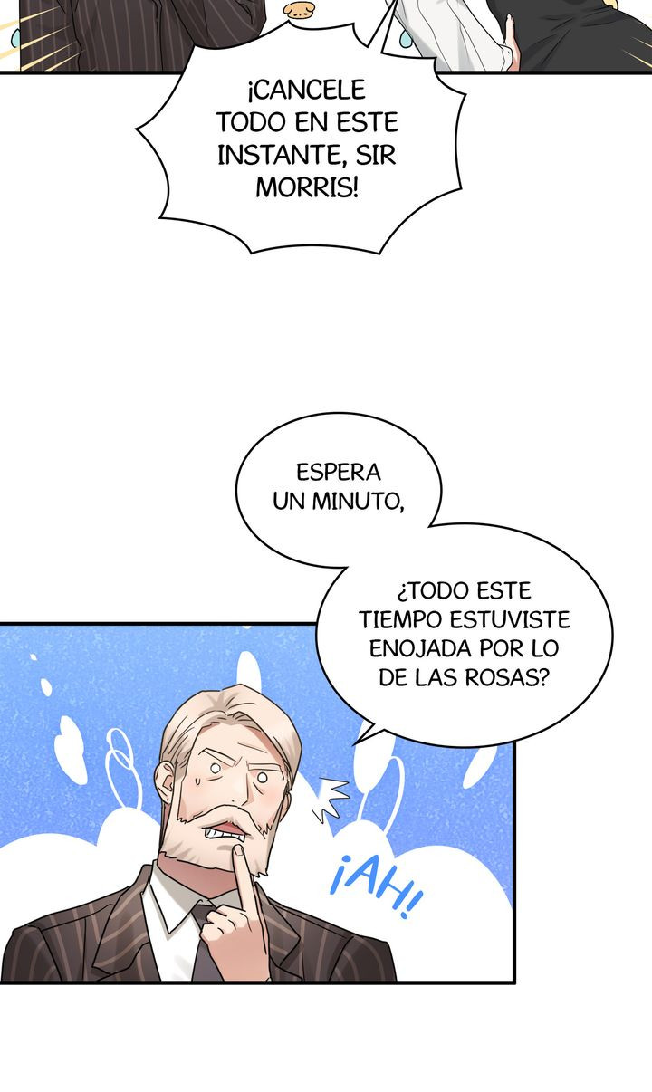 Página 42