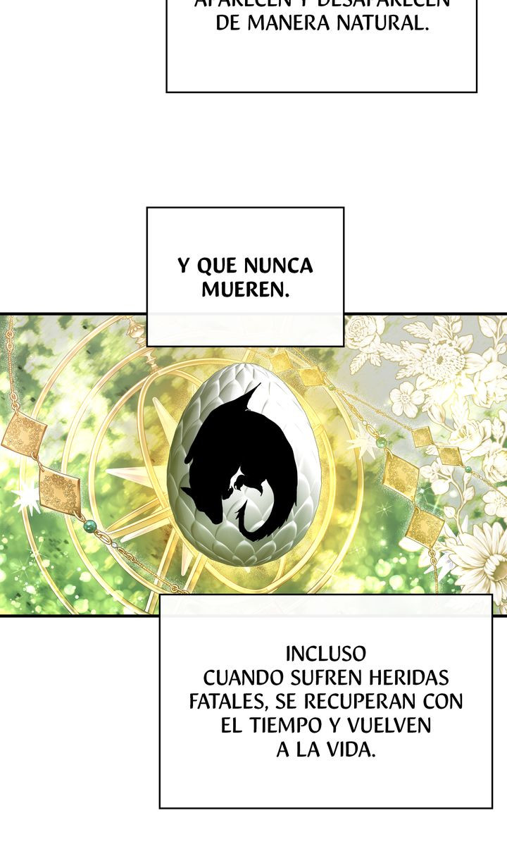 Página 49
