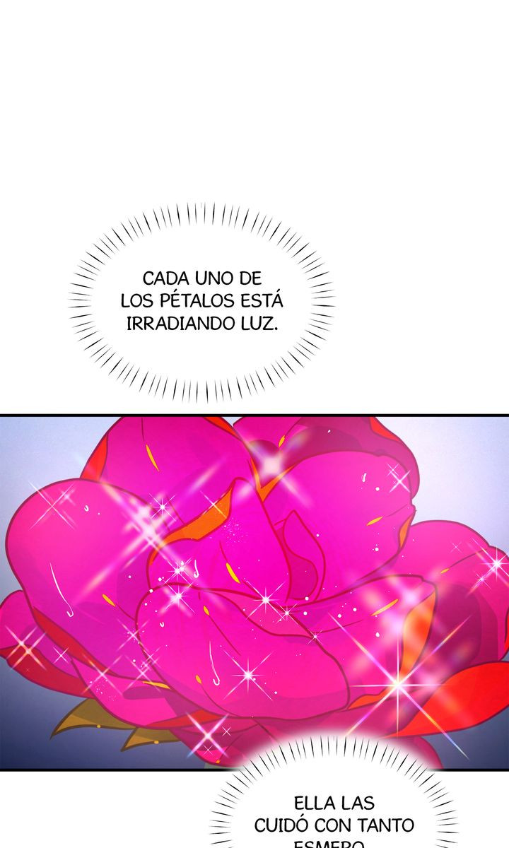 Página 44