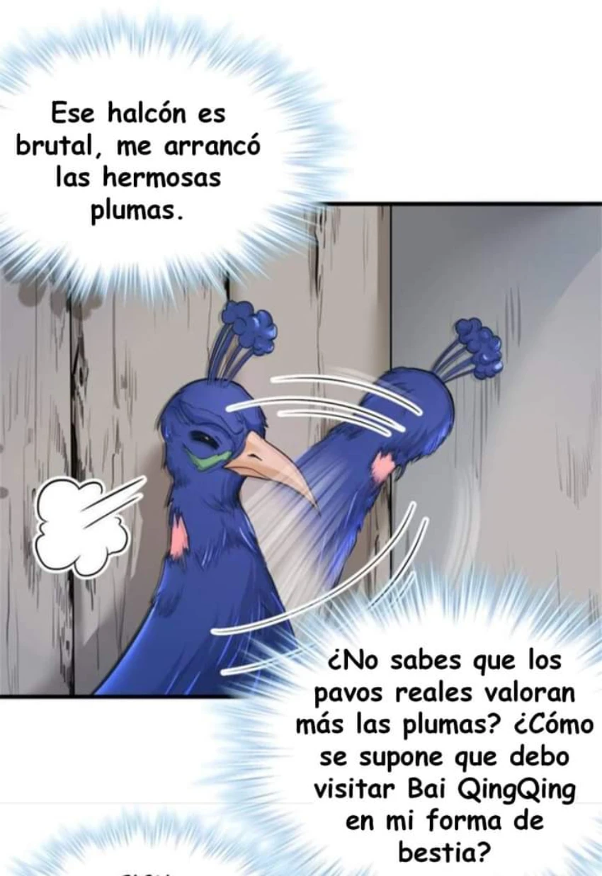 Página 19