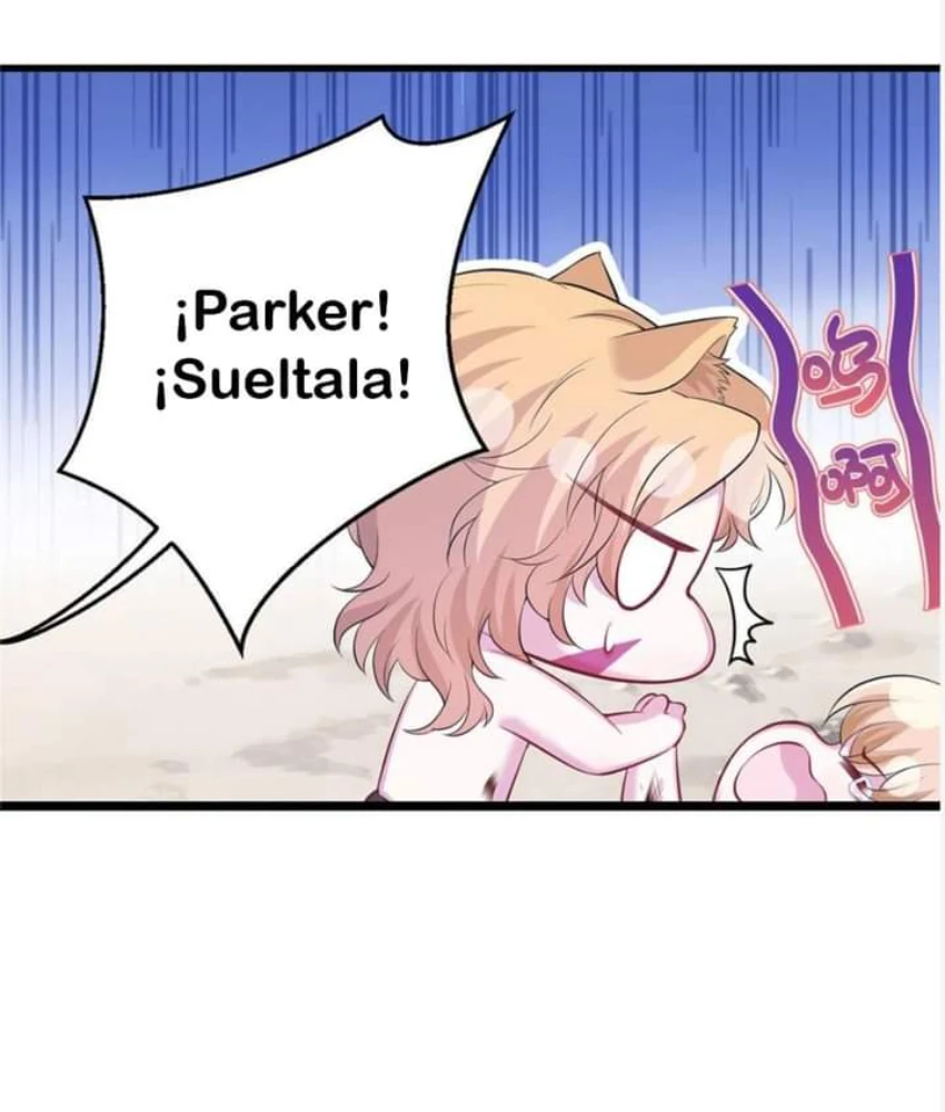 Página 42