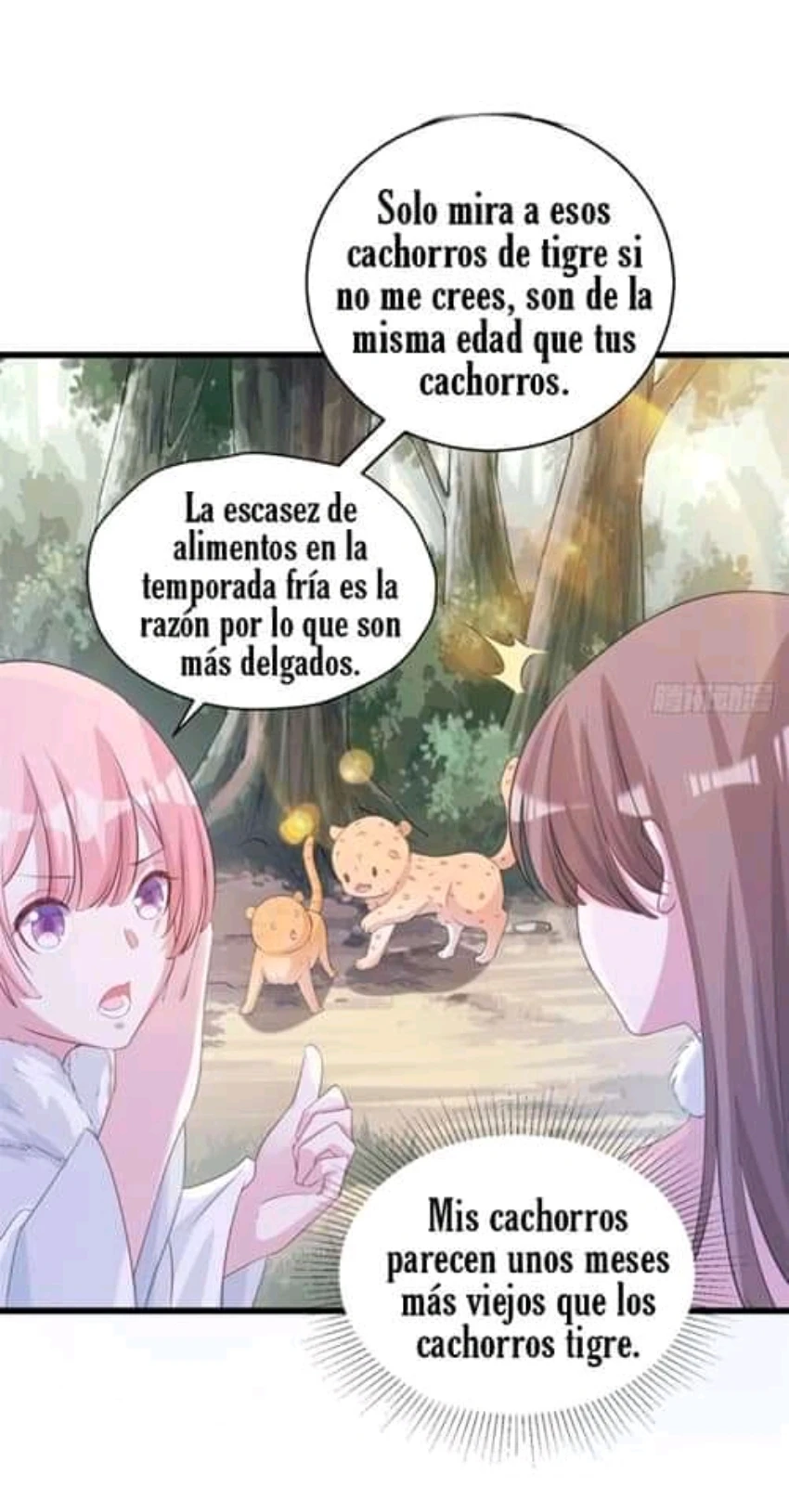 Página 36