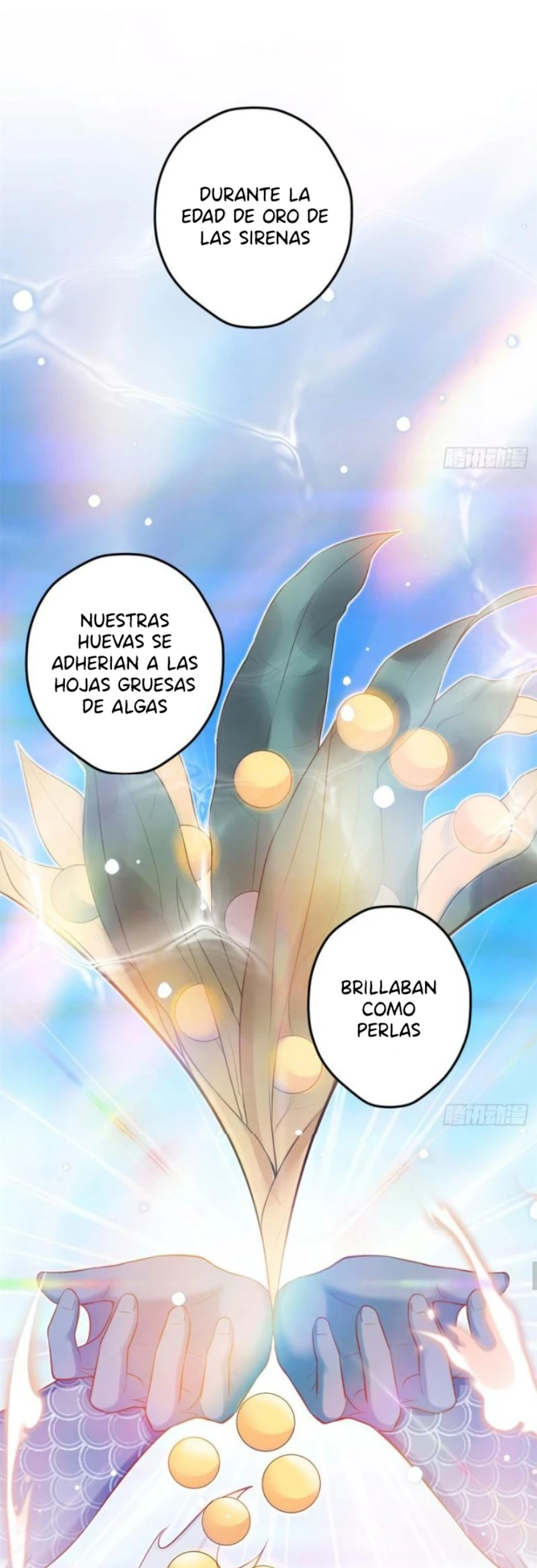 Página 29