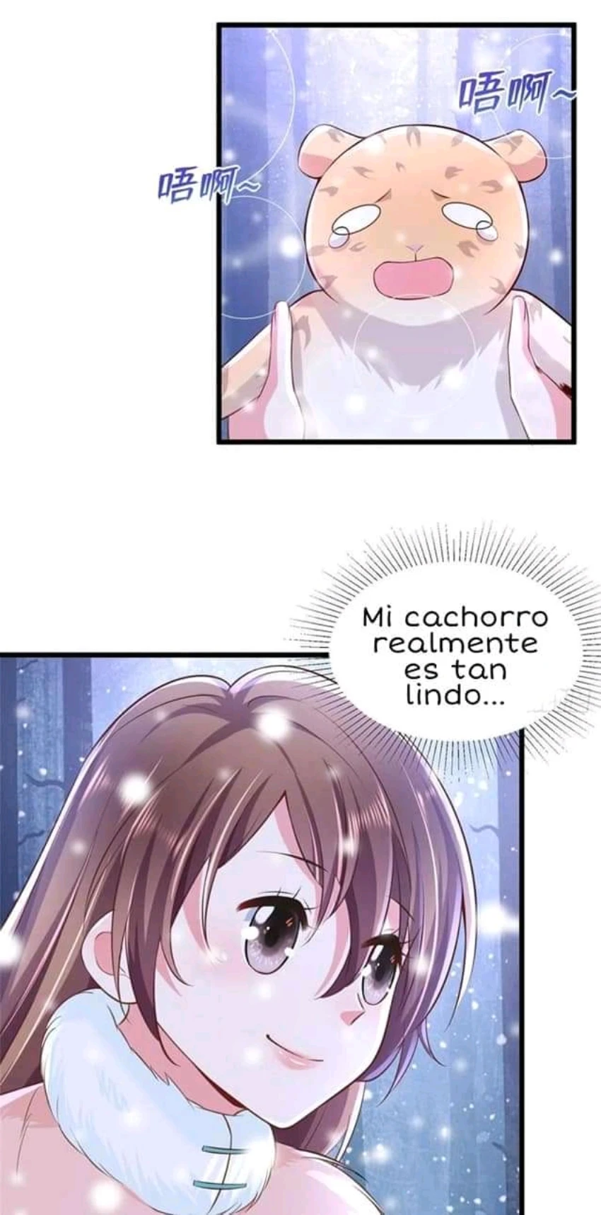 Página 25