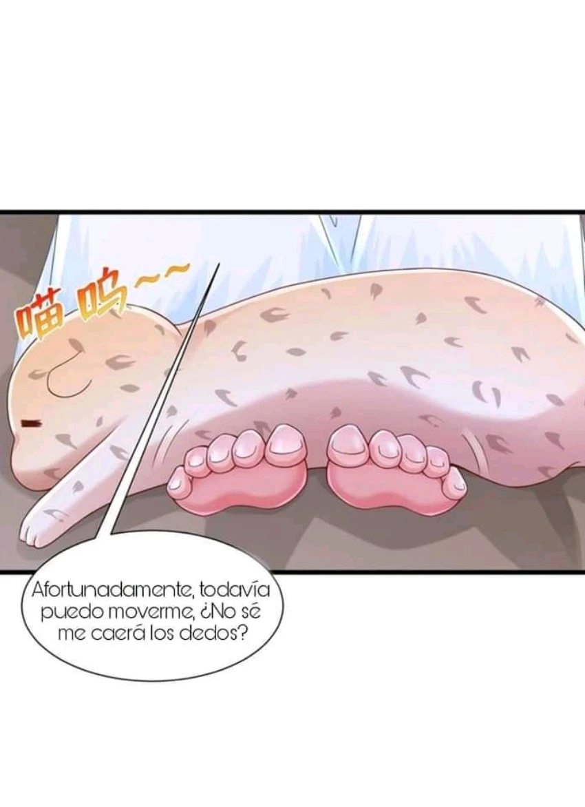 Página 37