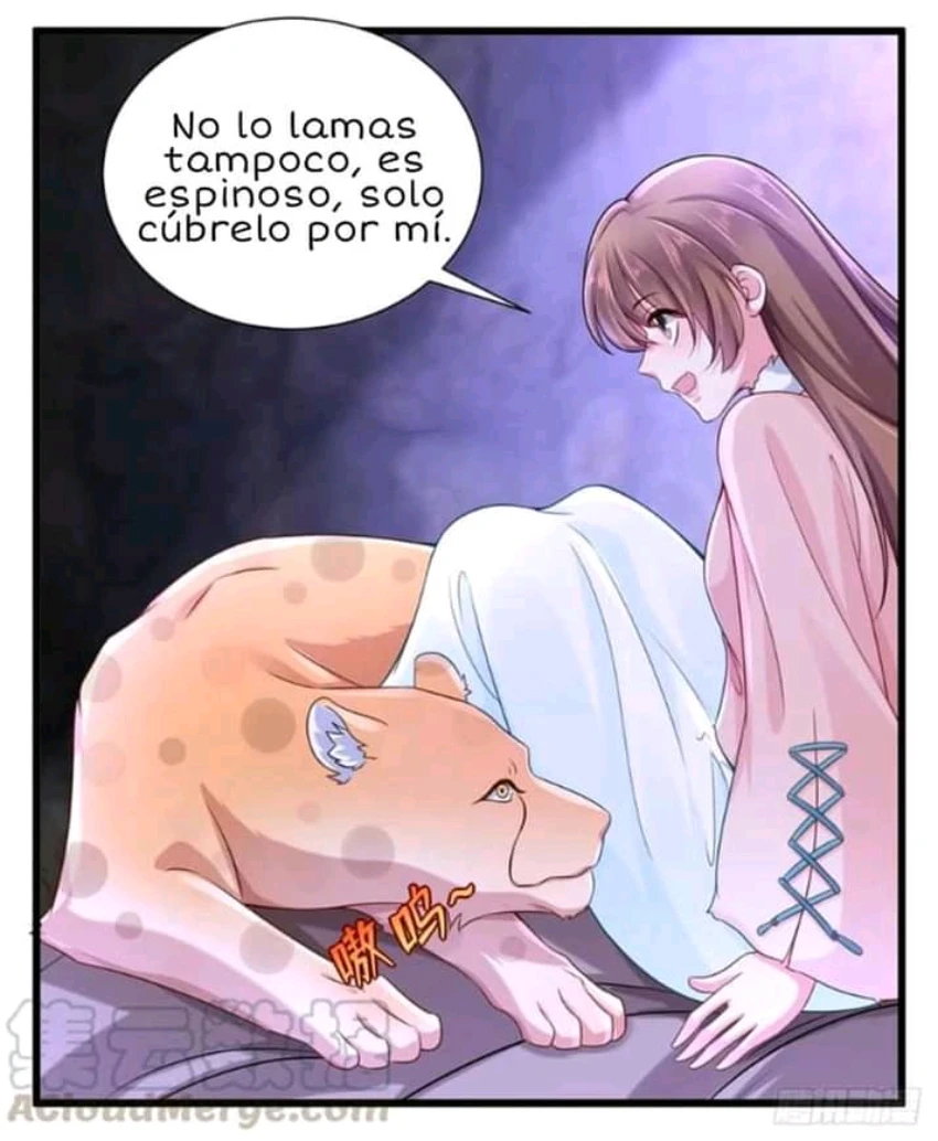 Página 15