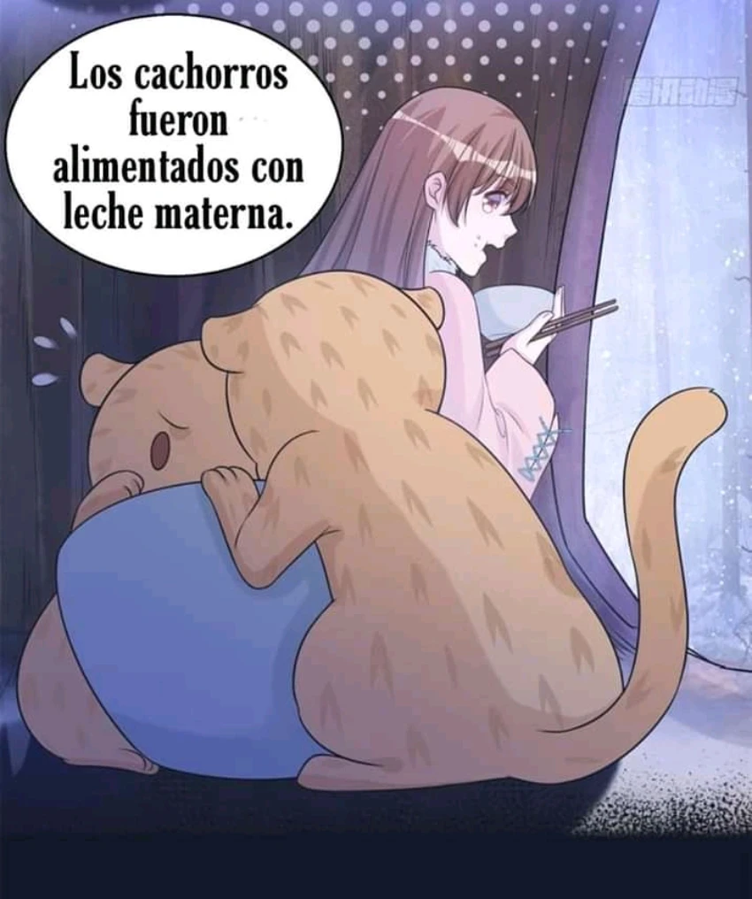 Página 6