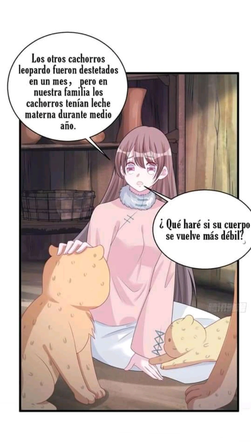 Página 43