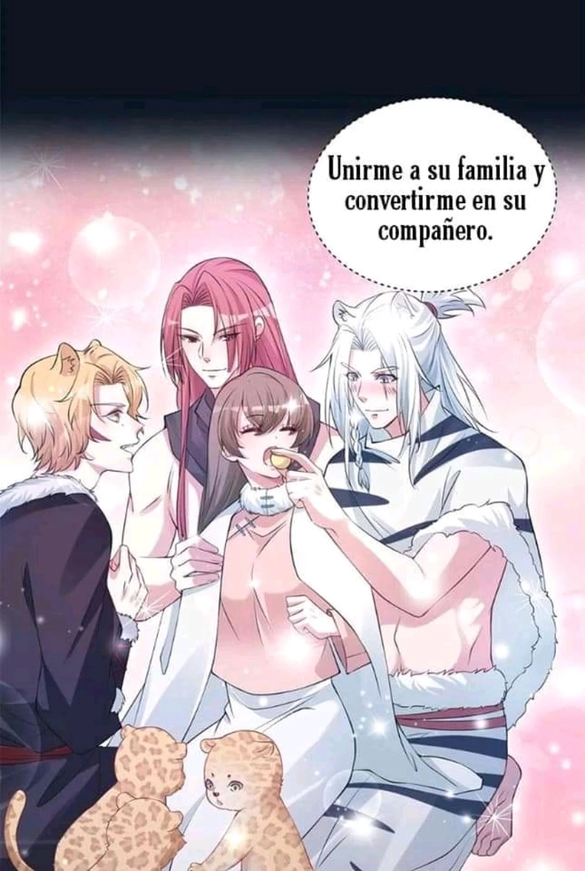 Página 4