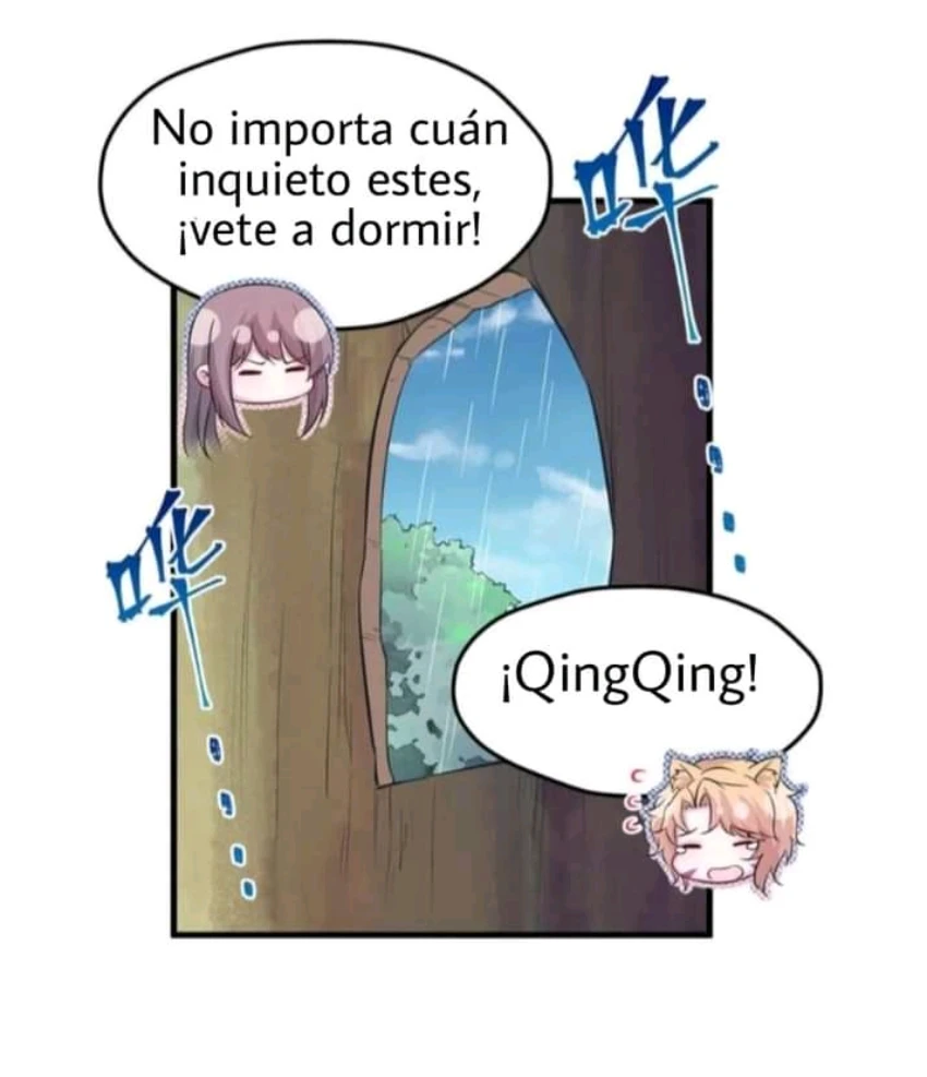 Página 29