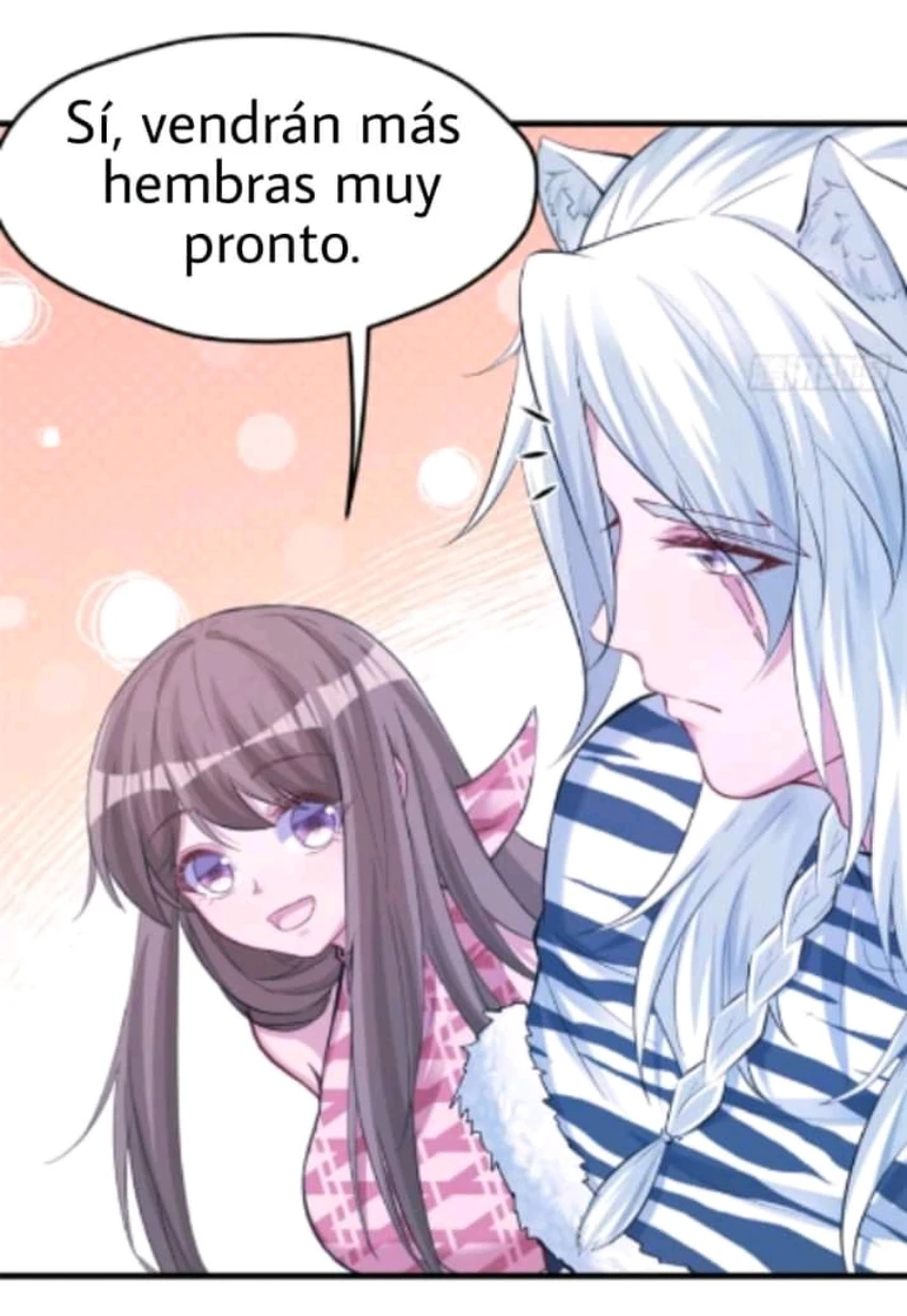 Página 42