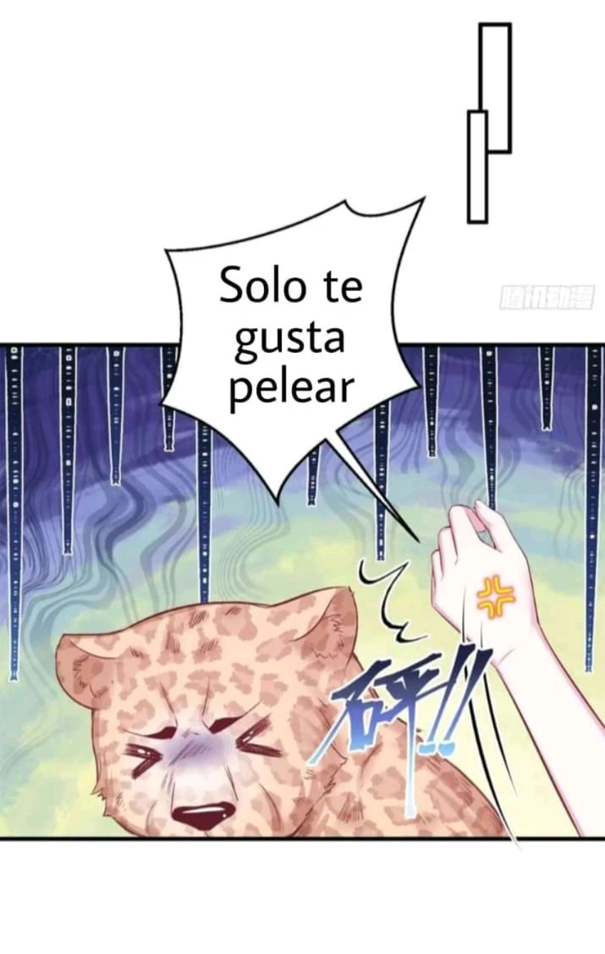 Página 37
