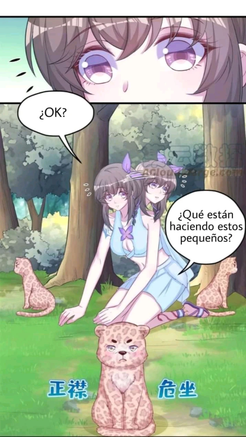 Página 26