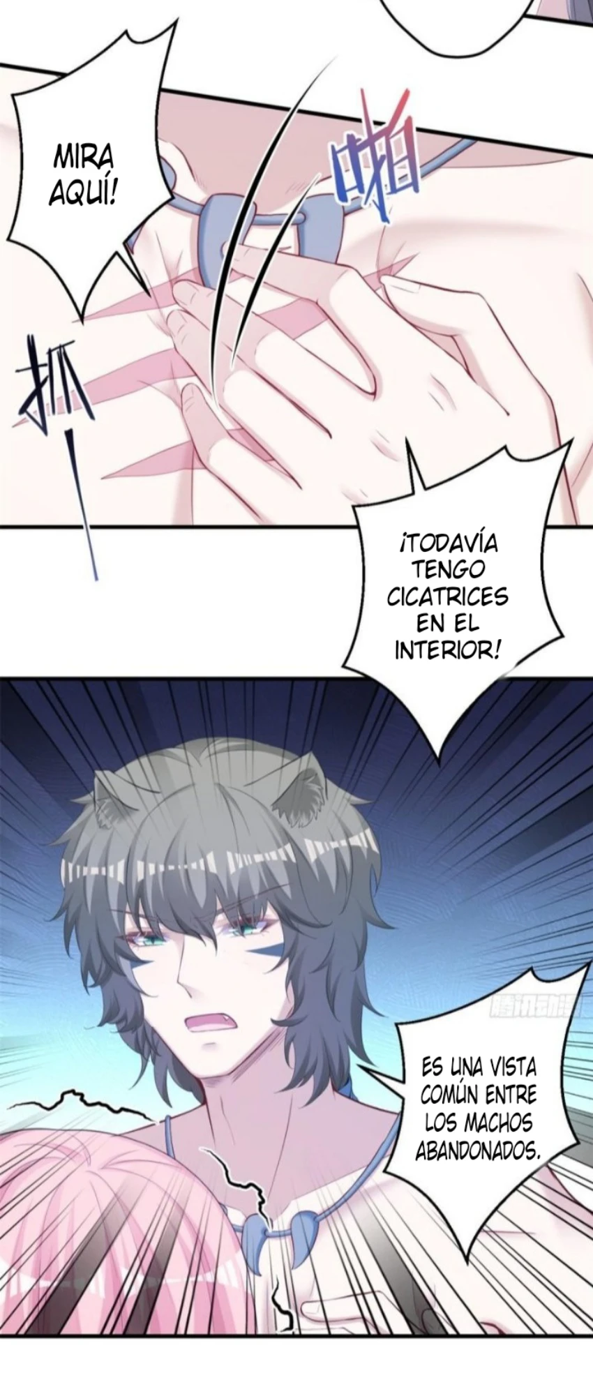 Página 5