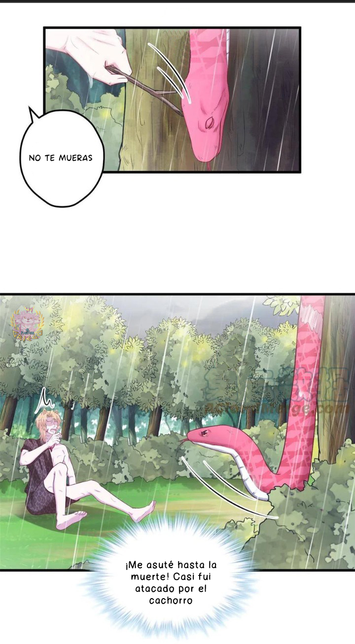 Página 4