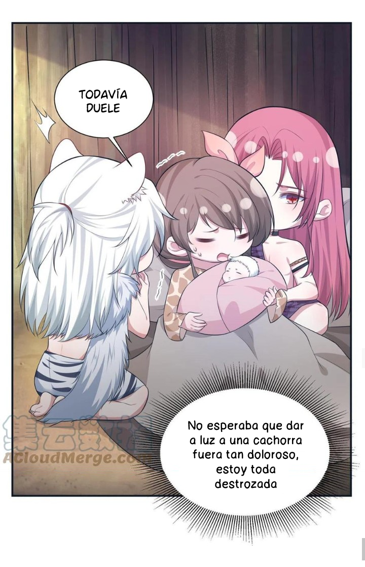 Página 26