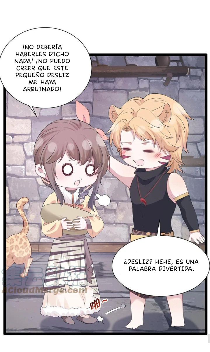 Página 40