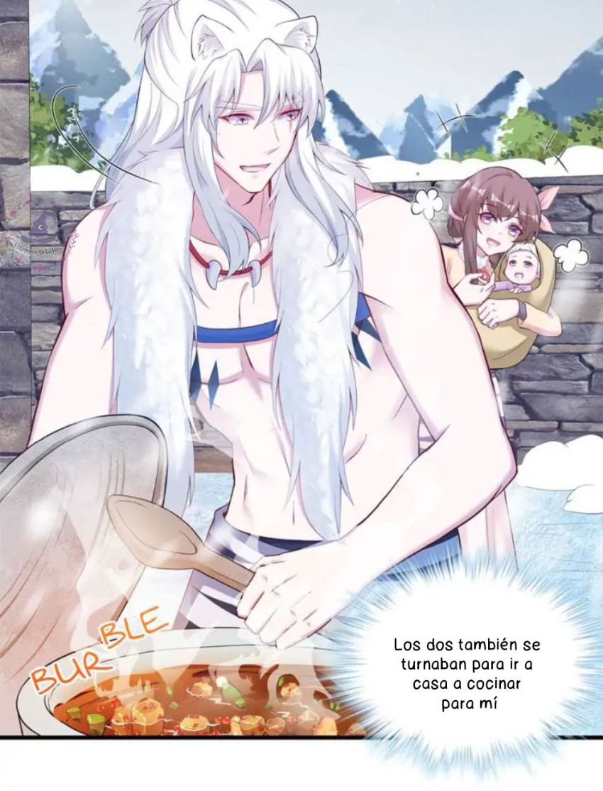 Página 17