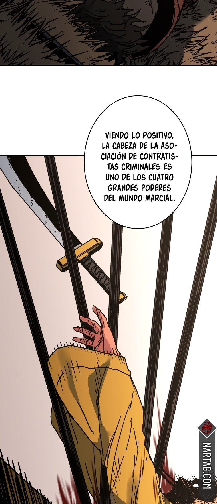 Página 43
