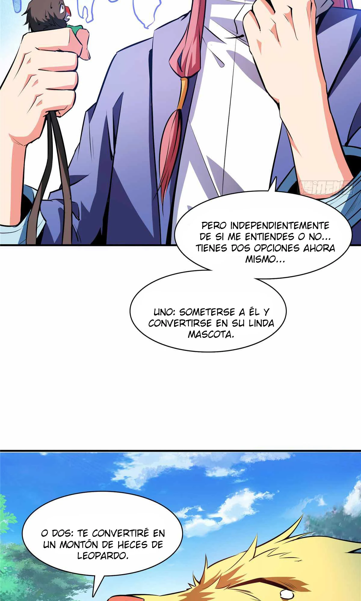 Página 17