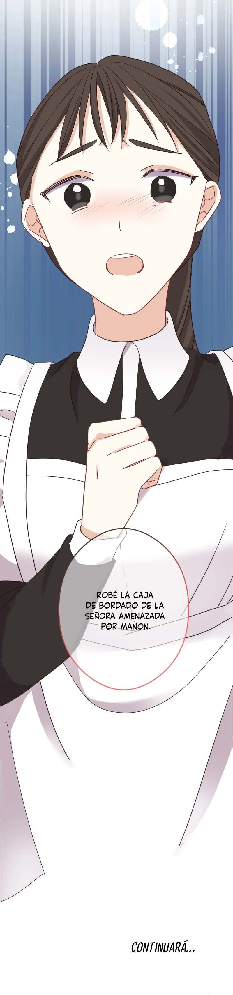 Página 17