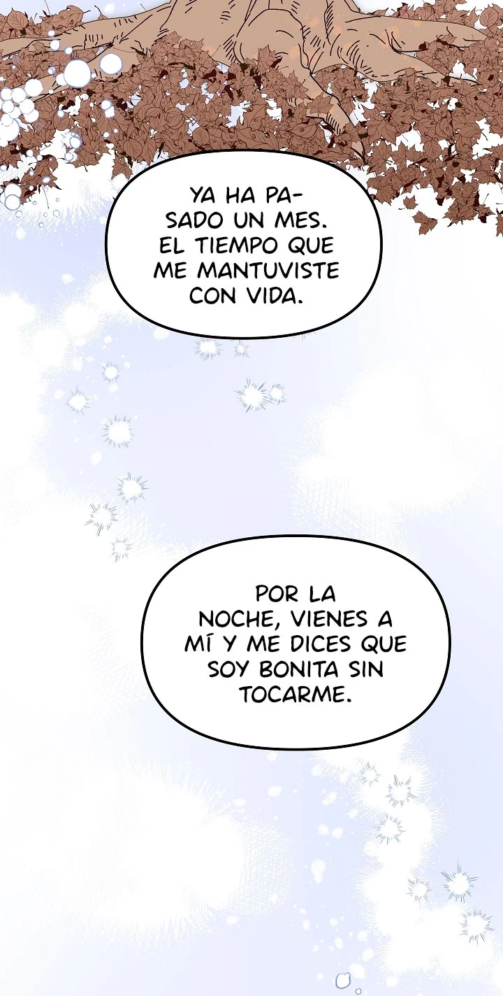 Página 53