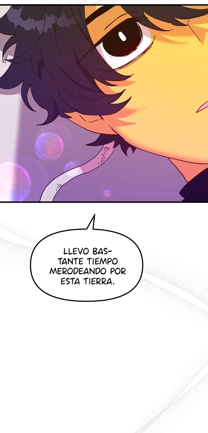 Página 41