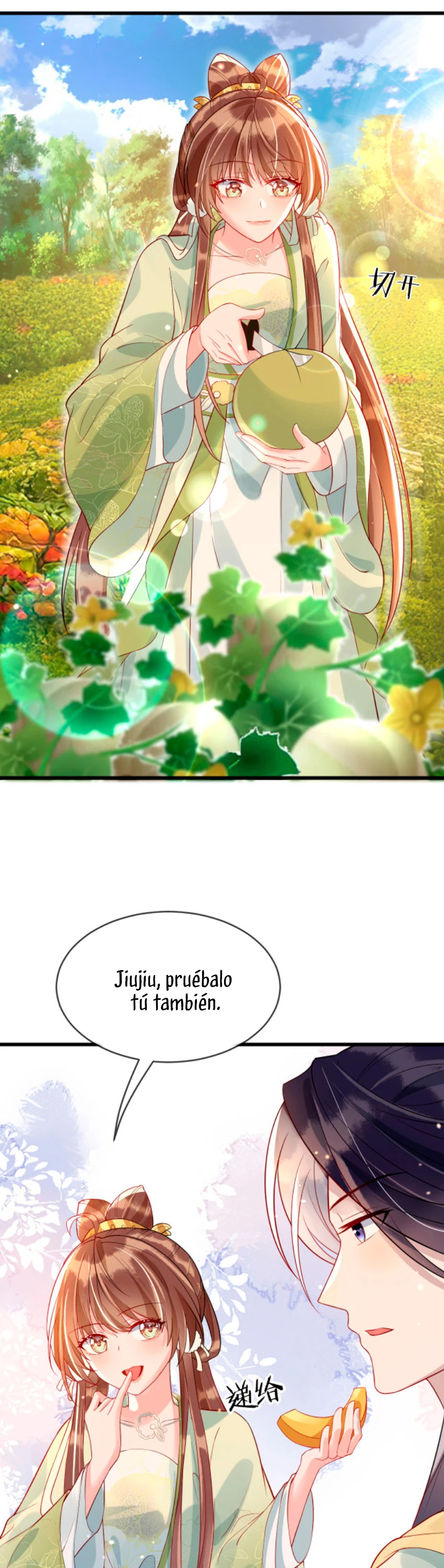Página 7