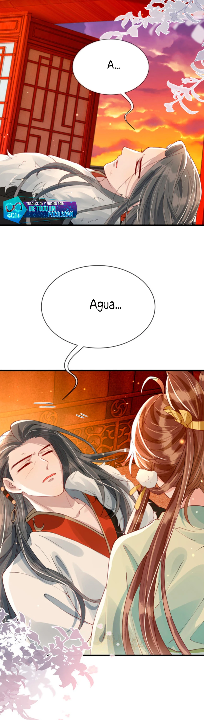 Página 7