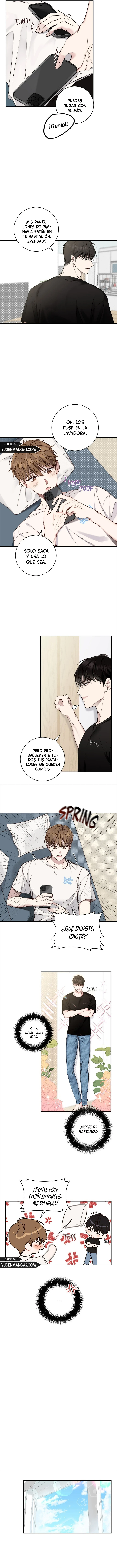 Página 6
