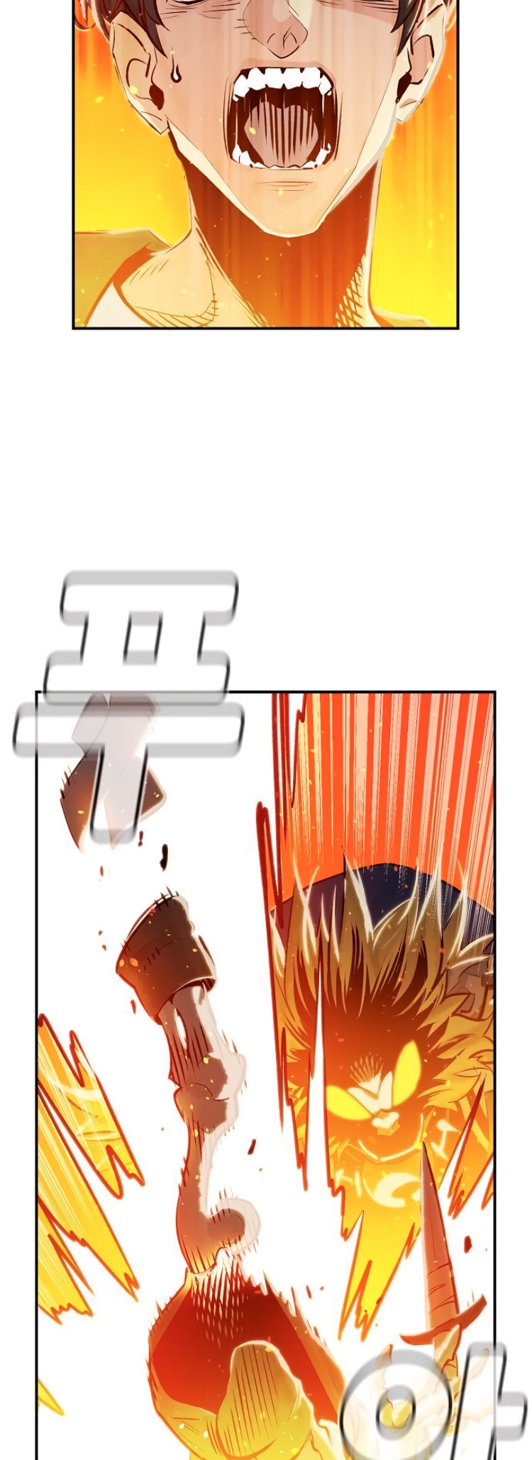 Página 46