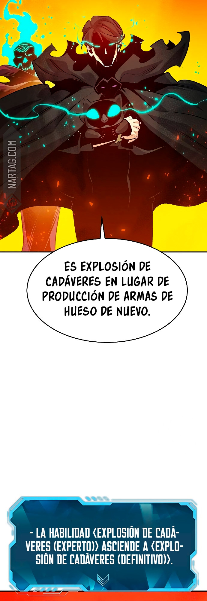Página 29