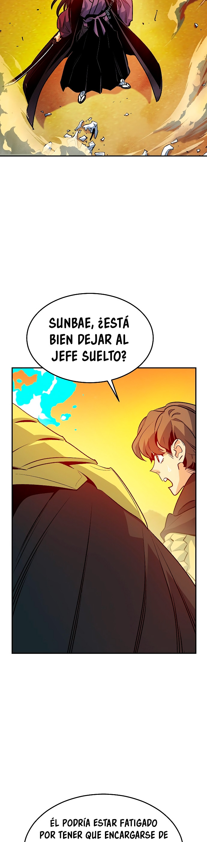 Página 43