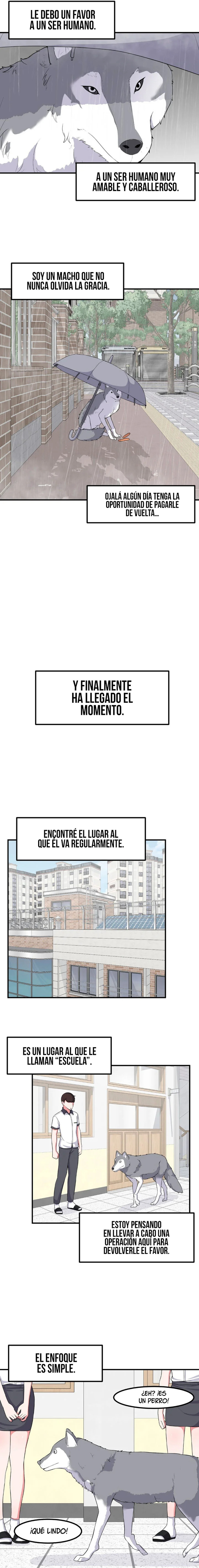 Página 6