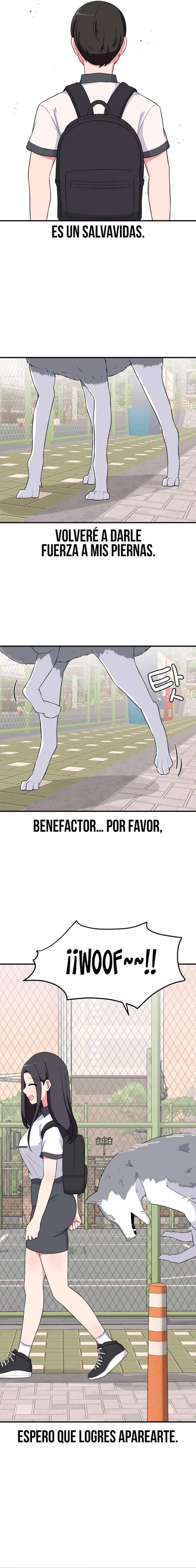 Página 8