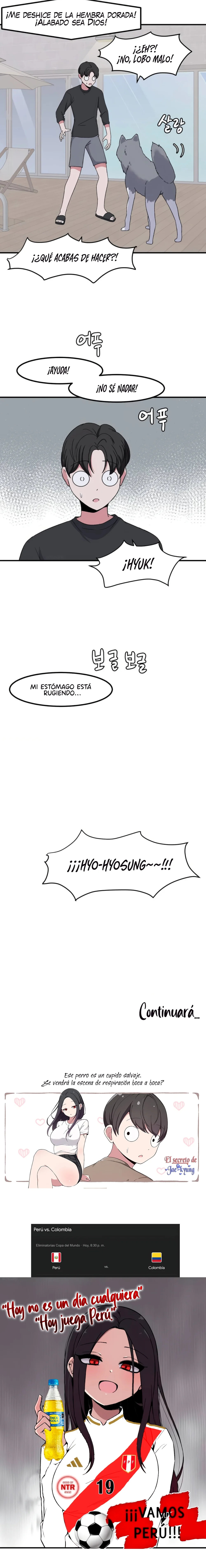 Página 17