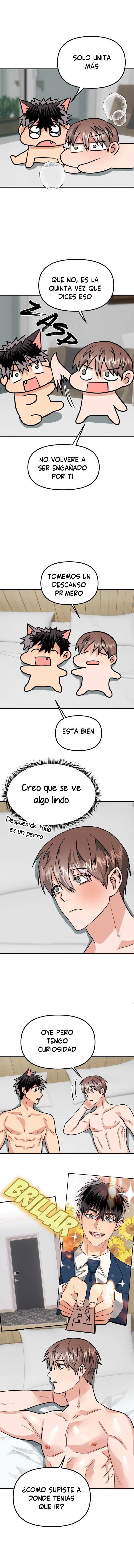 Página 11