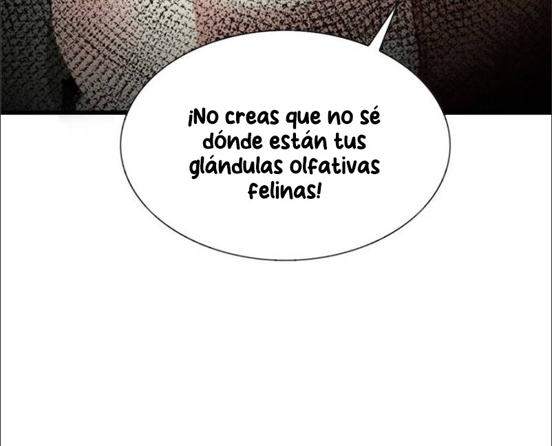 Página 95