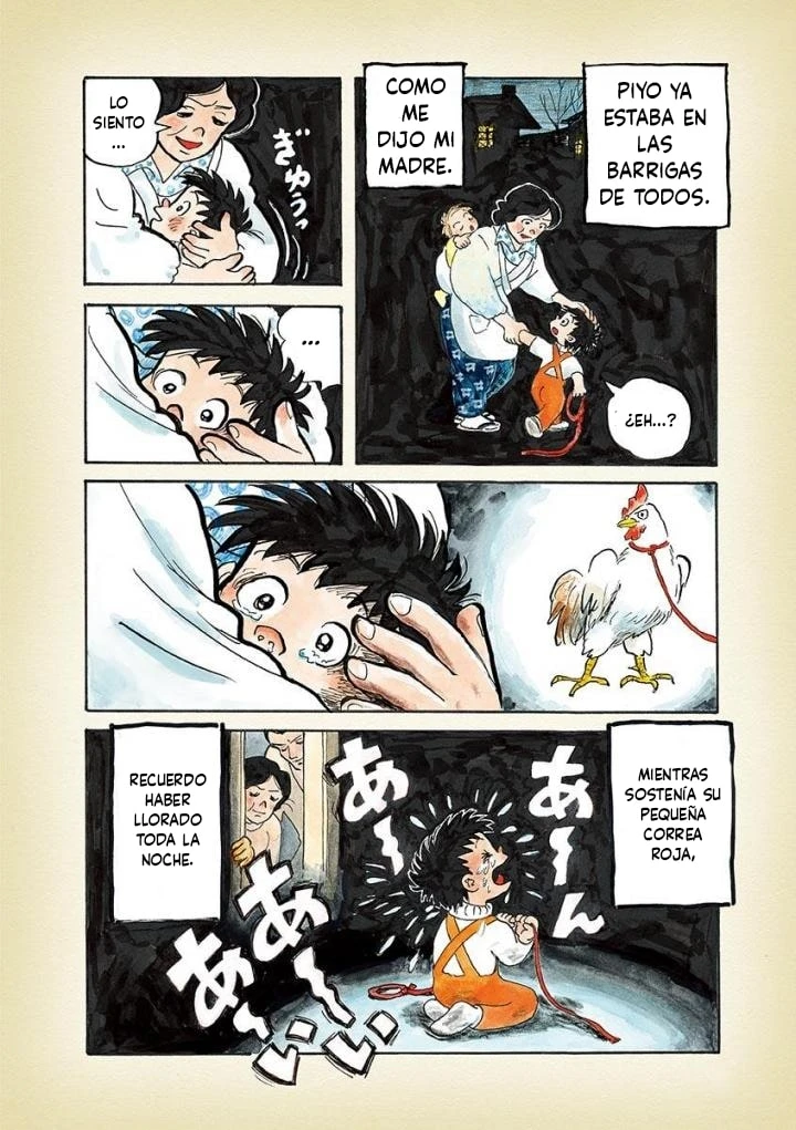 Página 5