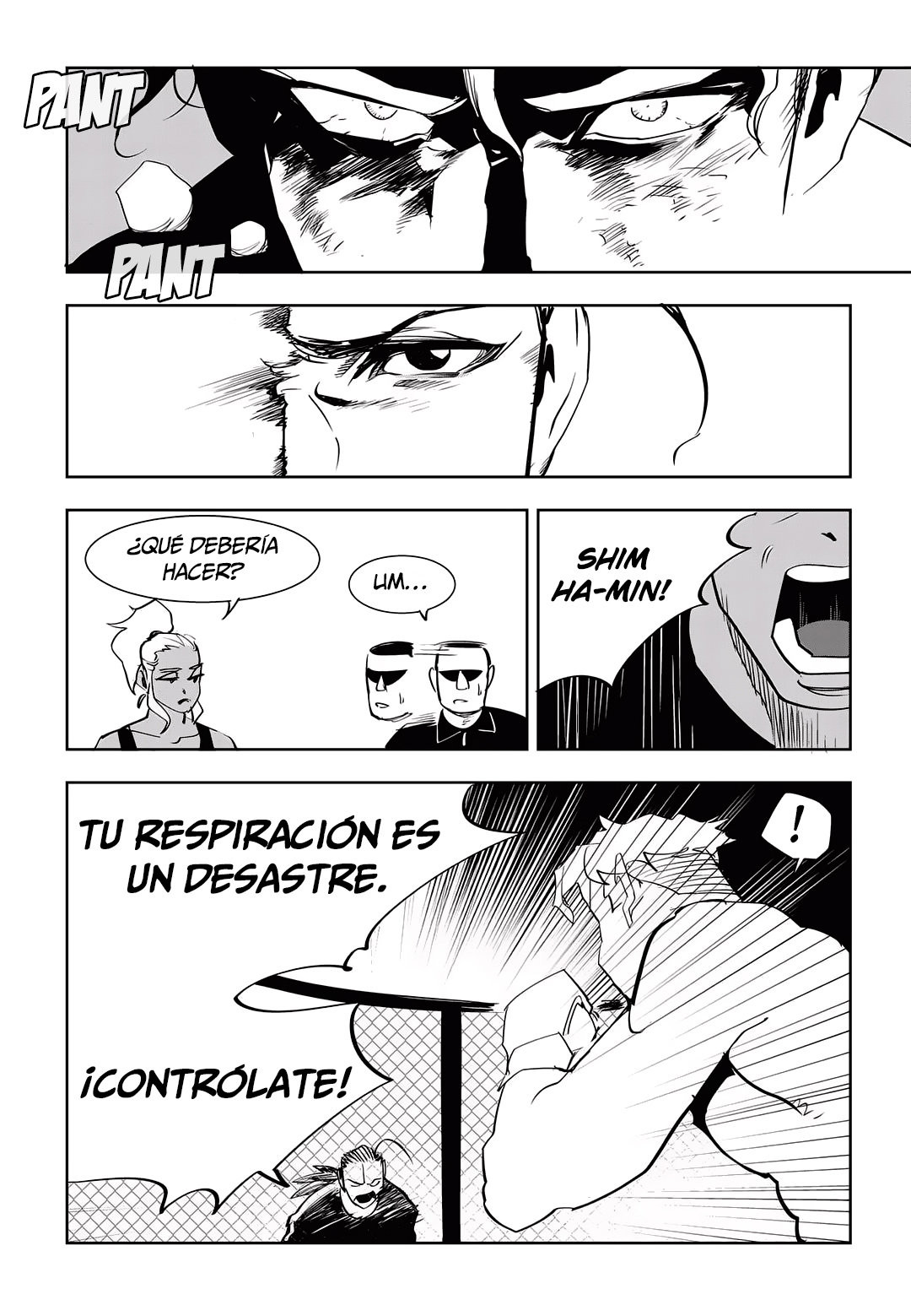 Página 17