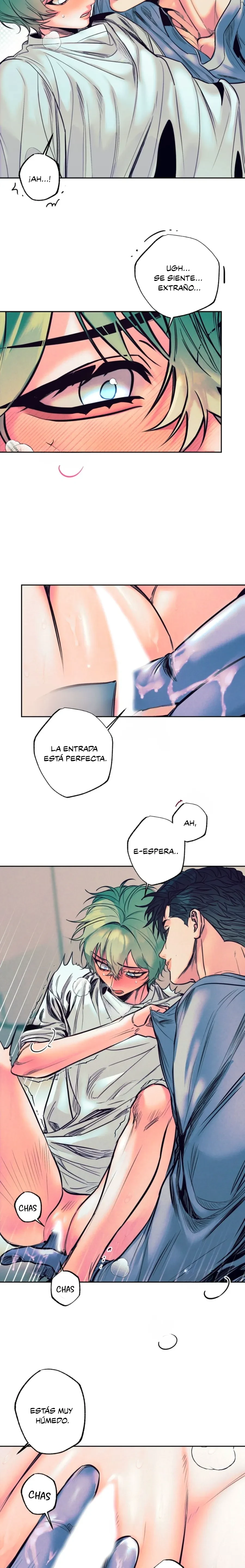 Página 5