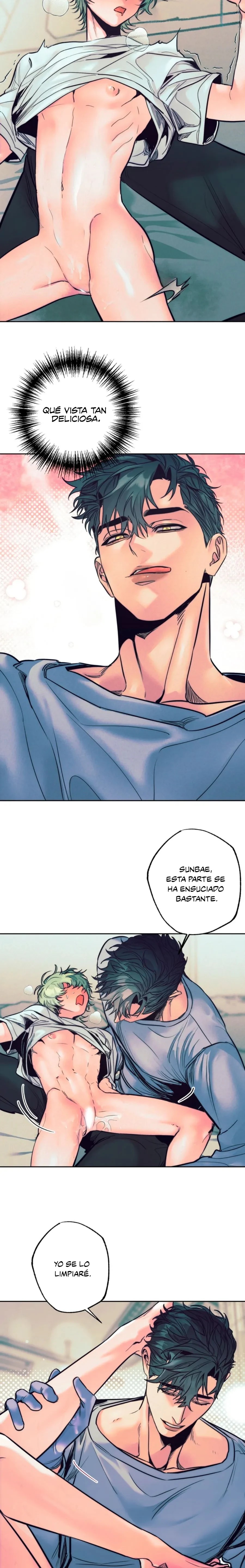 Página 12