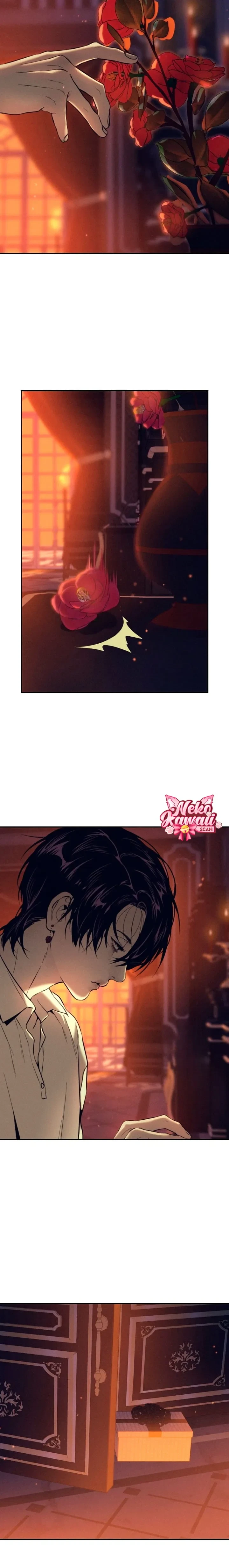 Página 24