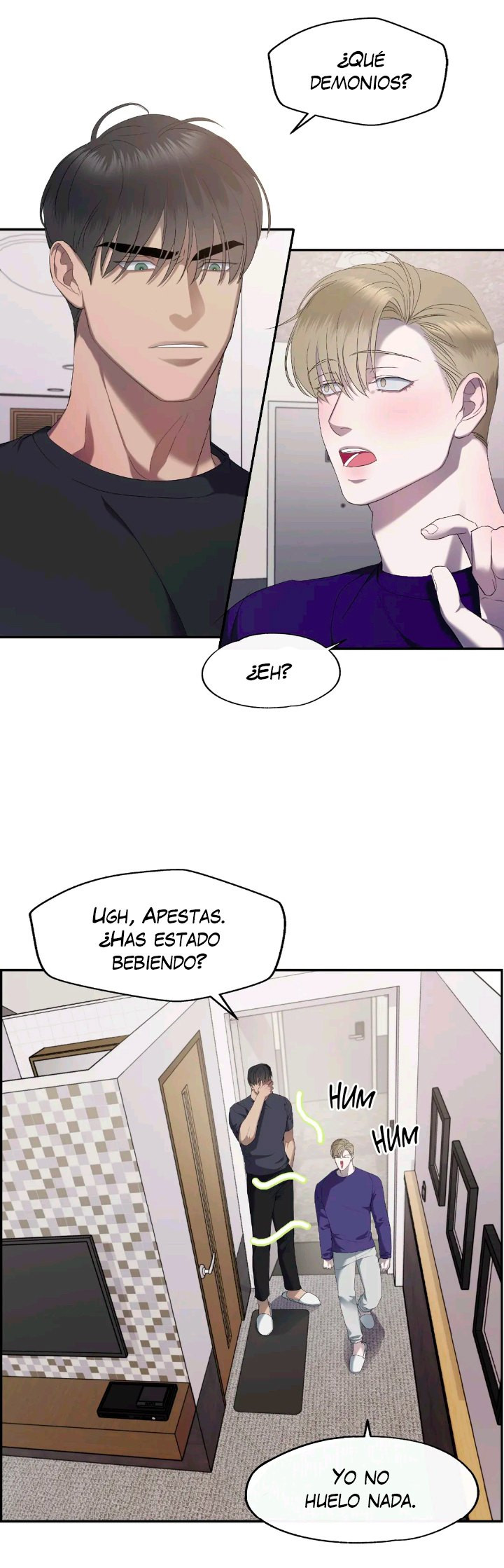 Página 17