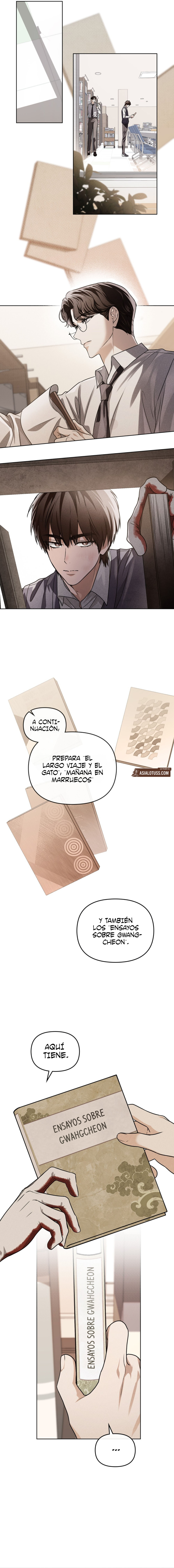 Página 11