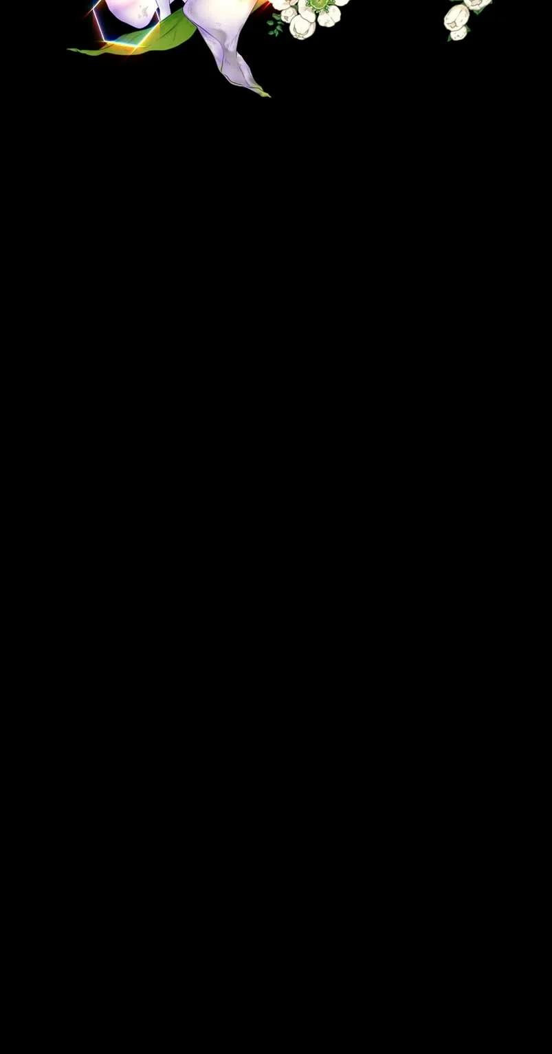 Página 61